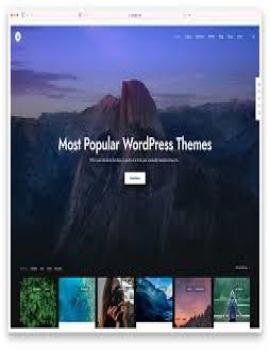 WP Themes